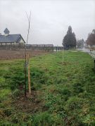 Makowisko - Bobrówka